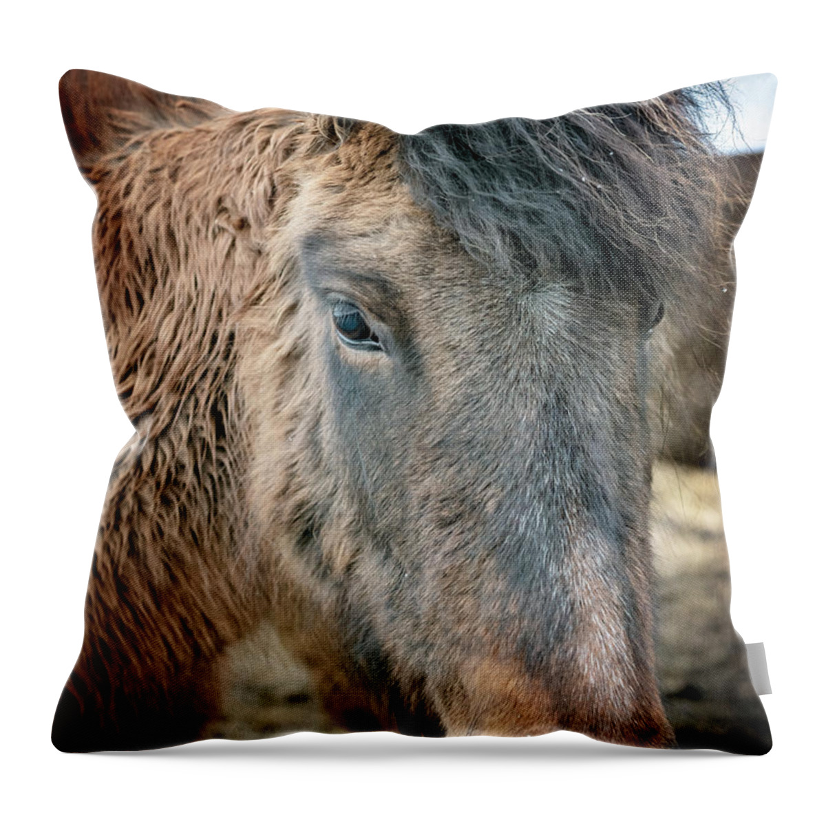 Joan Carroll Throw Pillow featuring the photograph Icelandic Horse by Joan Carroll