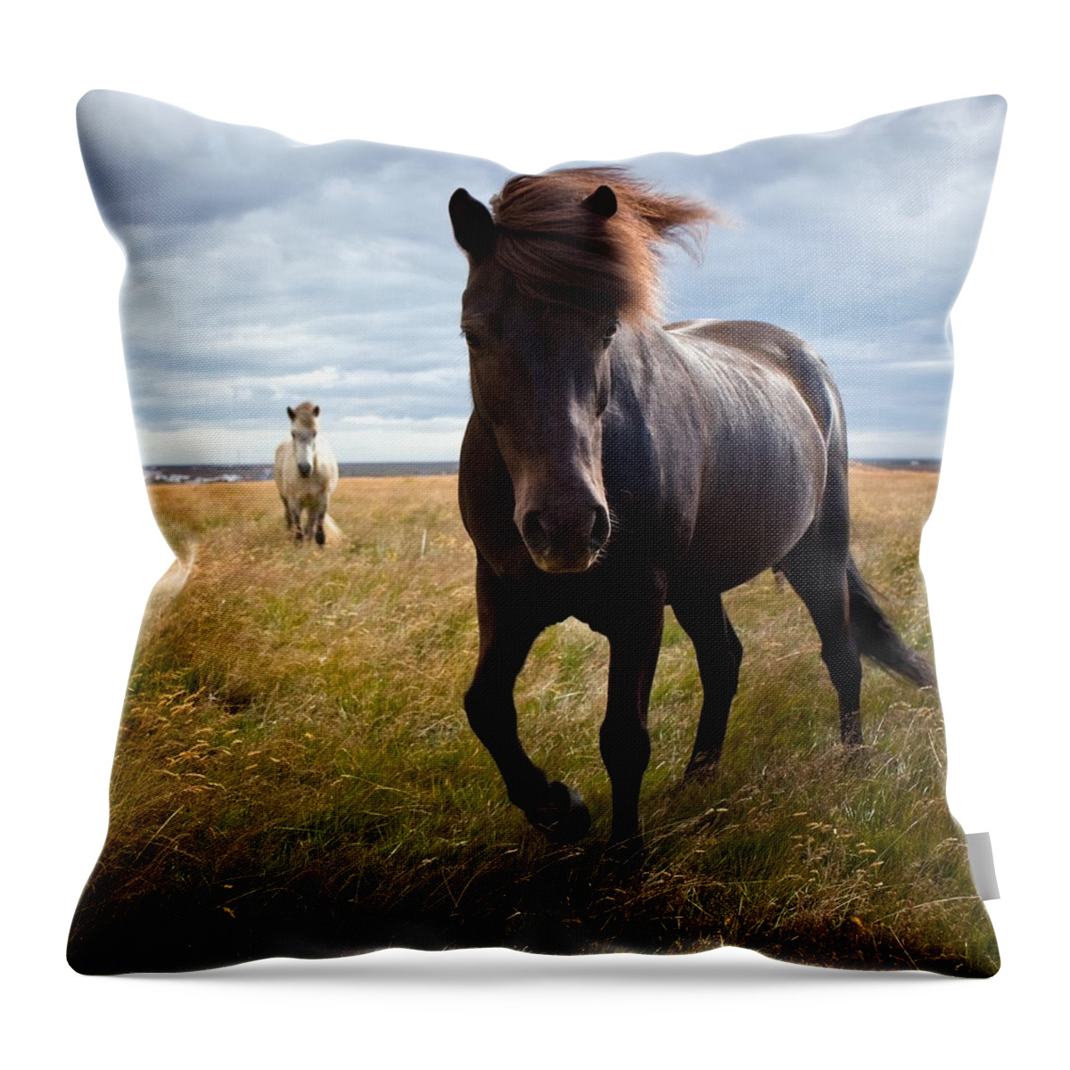 Horse Throw Pillow featuring the photograph Icelandic Horse by Johann S. Karlsson