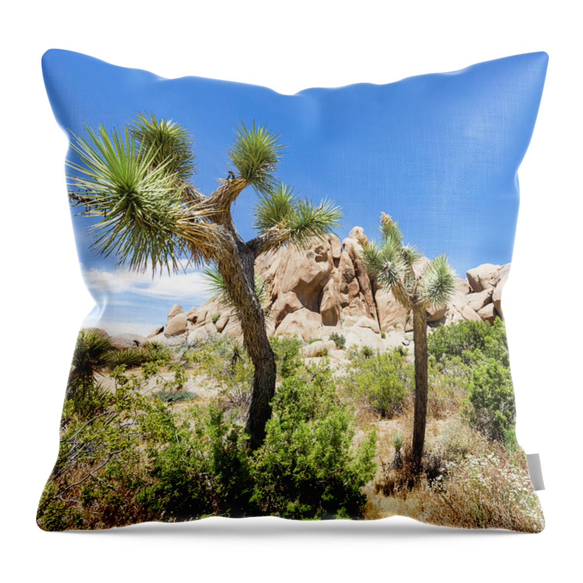 California Throw Pillow featuring the photograph Idyllic desert scenery - Joshua Tree National Park by Melanie Viola