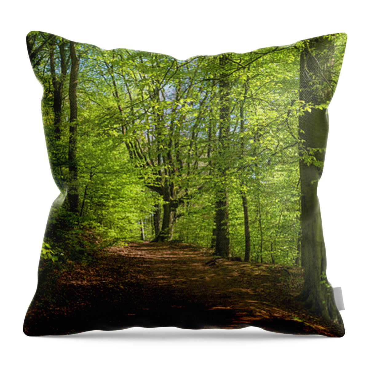 Scenics Throw Pillow featuring the photograph Idyllic Trail Through Vibrant Green by Fotovoyager