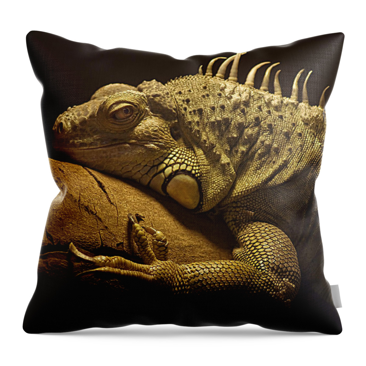 Animal Themes Throw Pillow featuring the photograph Iguana by John Dickson