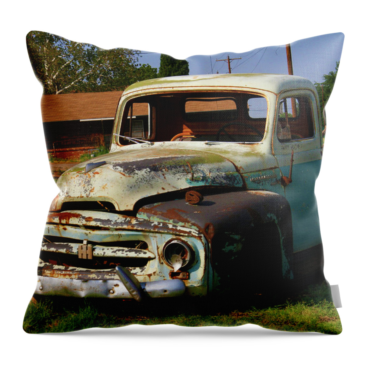 Pickup Throw Pillow featuring the photograph I'm still here by Giorgio Tuscani