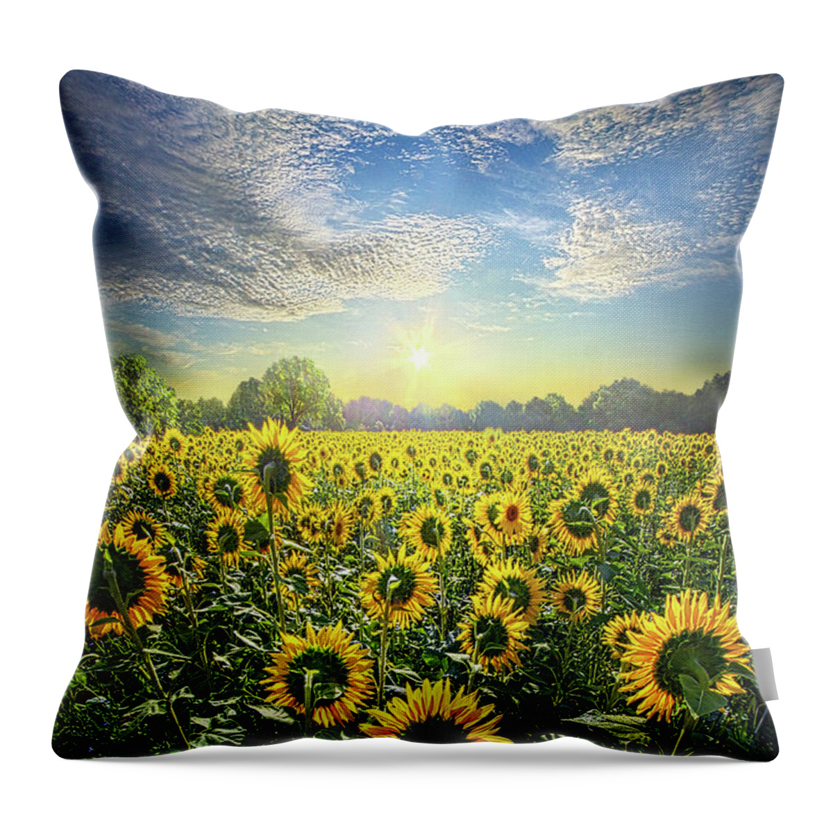 Life Throw Pillow featuring the photograph In Autumn Beauty Stood by Phil Koch