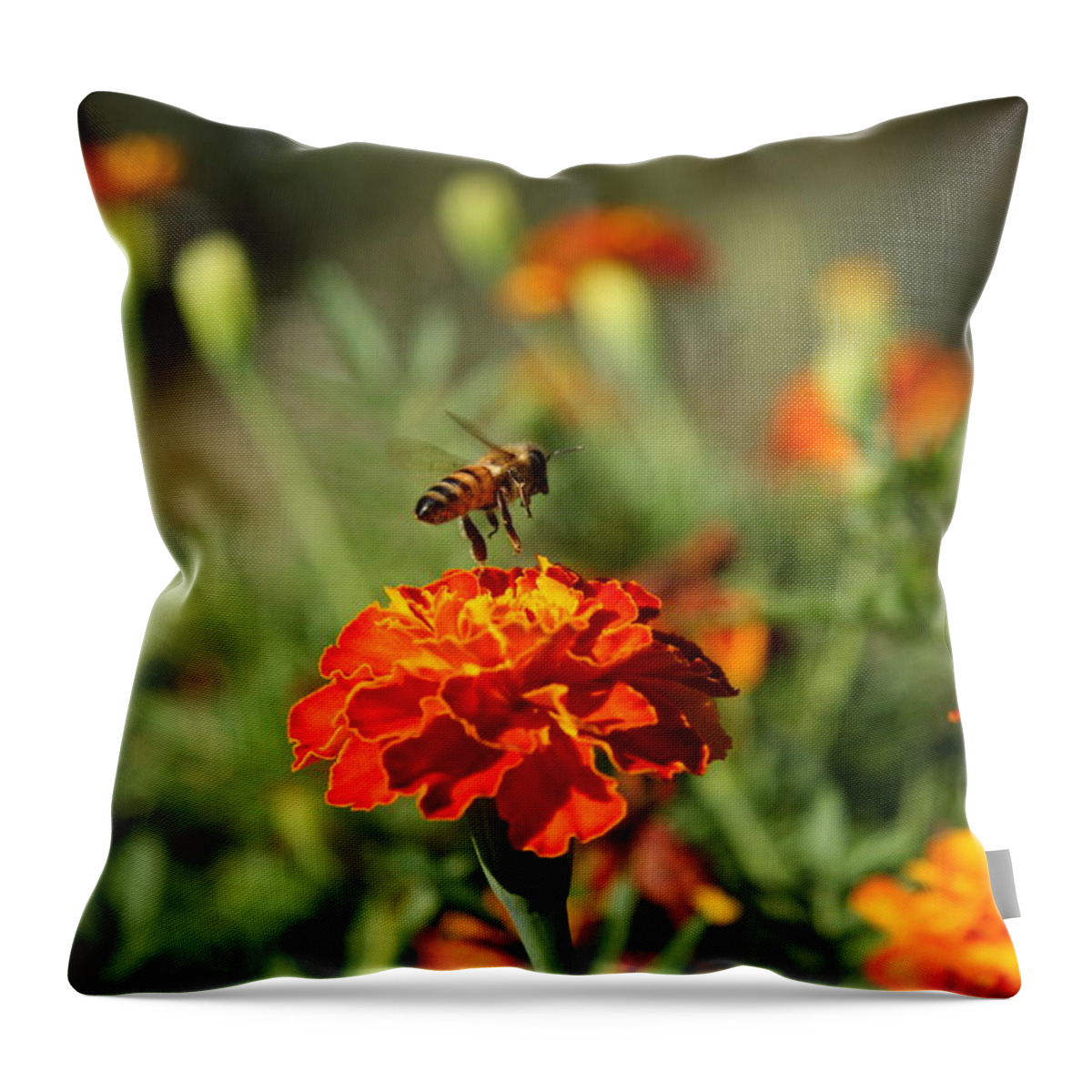  Throw Pillow featuring the photograph In Cerca Di Nettare by Simone Lucchesi