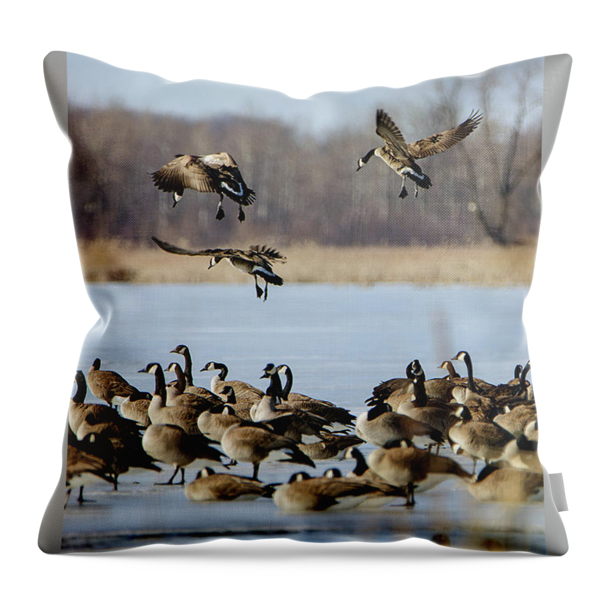 In Coming Throw Pillow featuring the photograph In Coming by Susan McMenamin