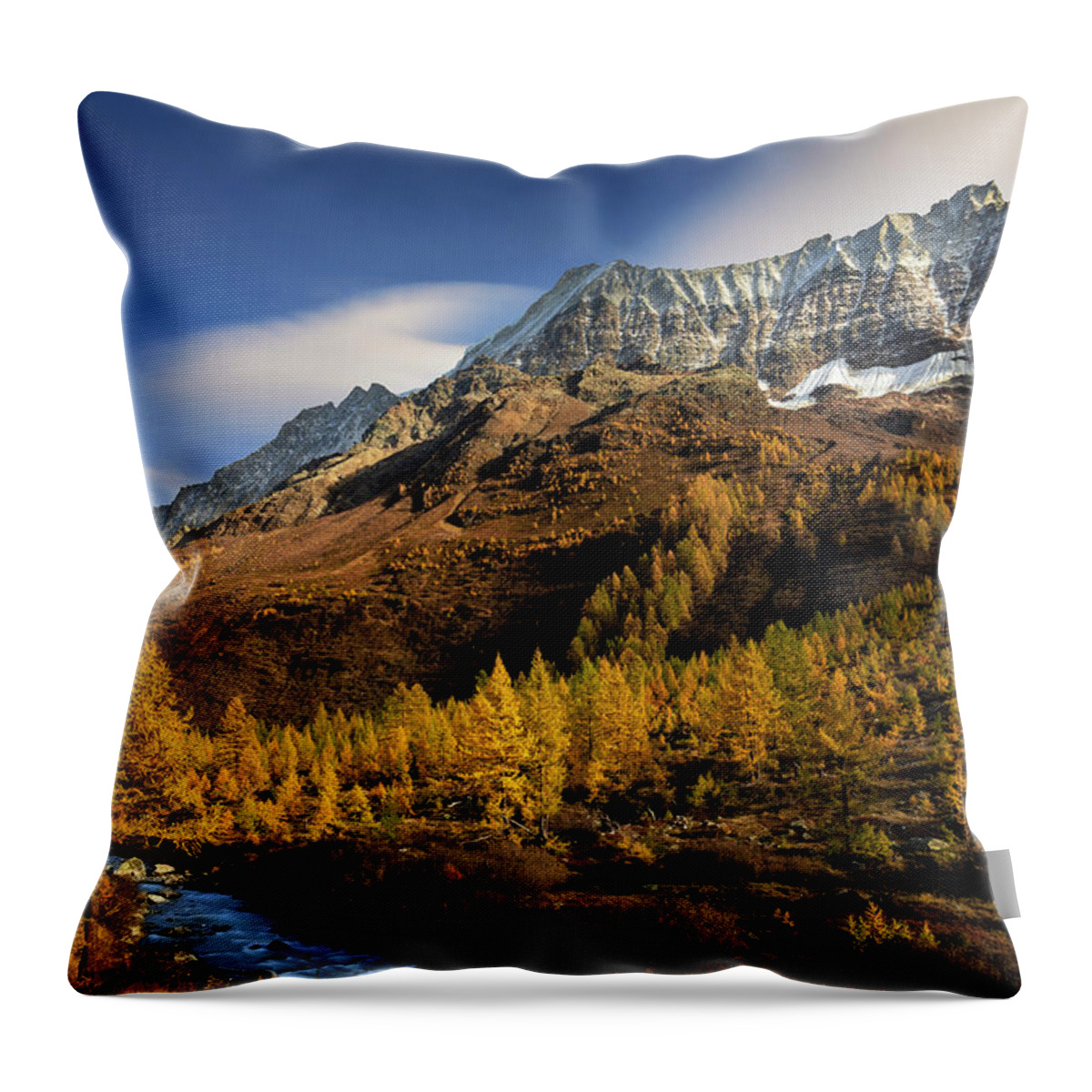 Water Throw Pillow featuring the photograph In line by Dominique Dubied