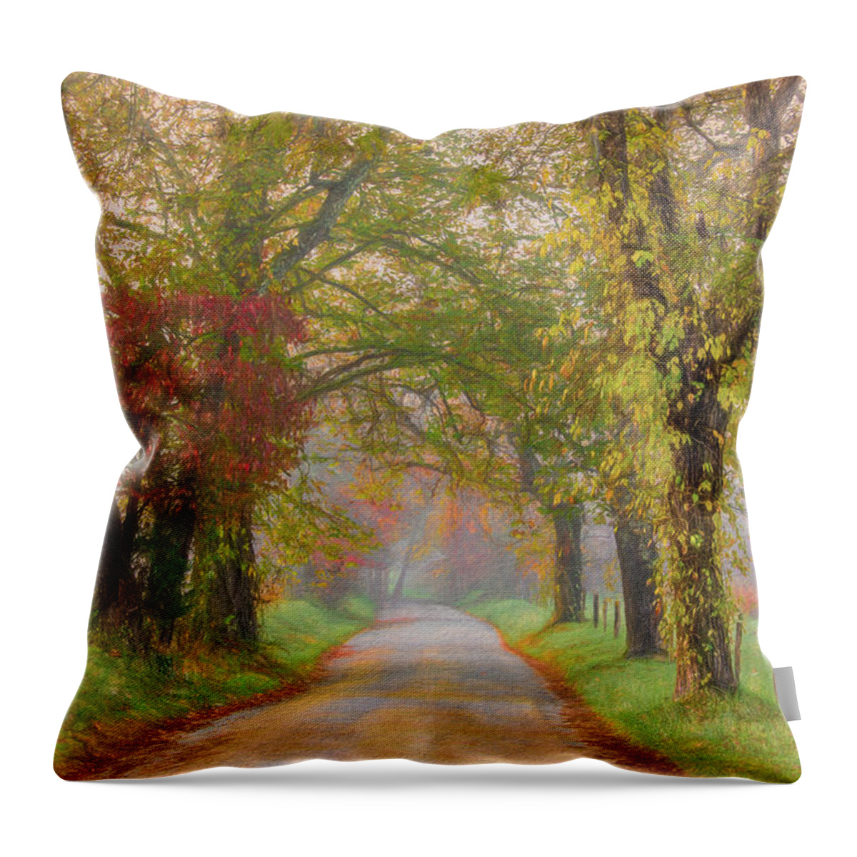 Cades Cove Throw Pillow featuring the photograph In the Light of Autumn by Marcy Wielfaert