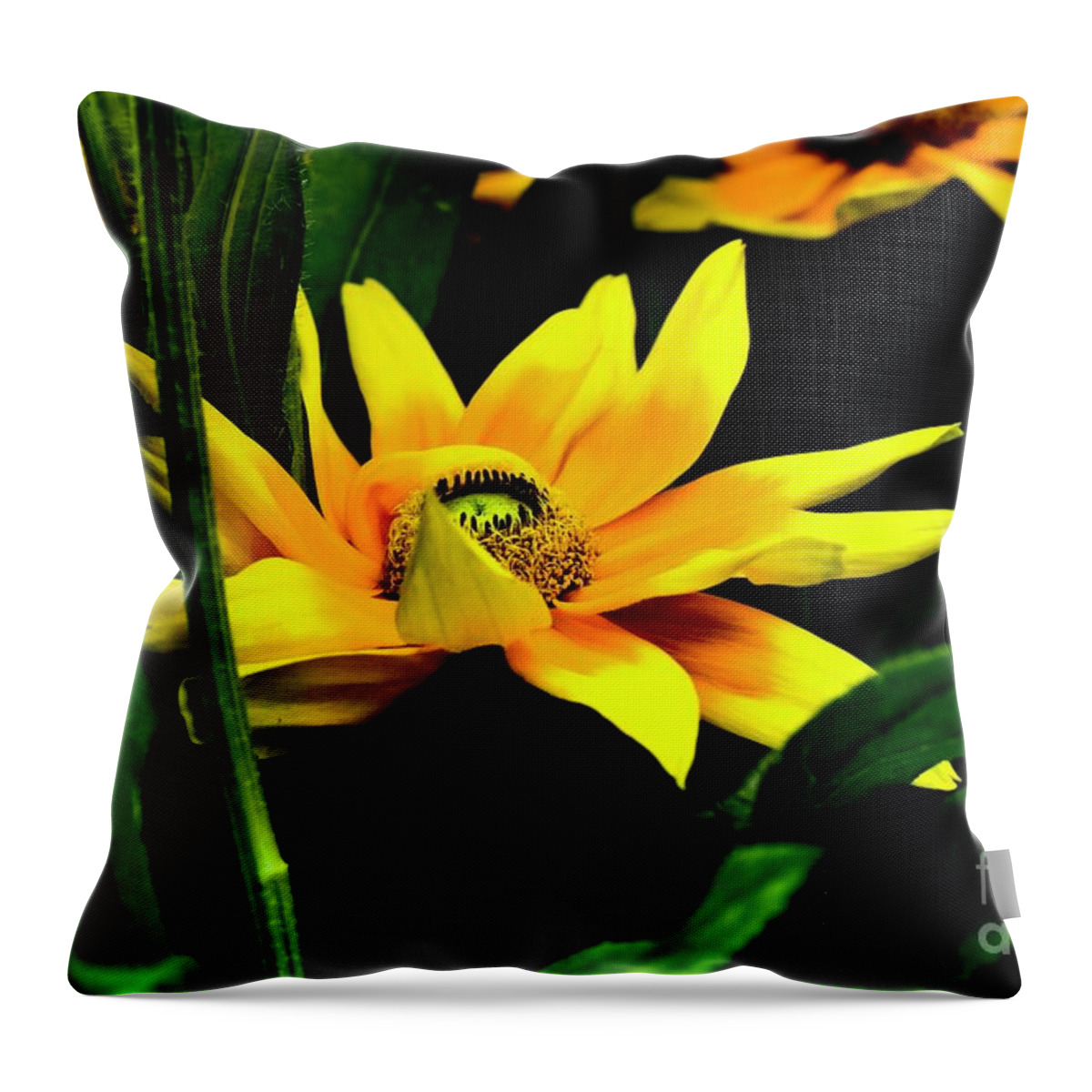 Floral Photography Throw Pillow featuring the photograph In The Middle 2 by Diana Mary Sharpton