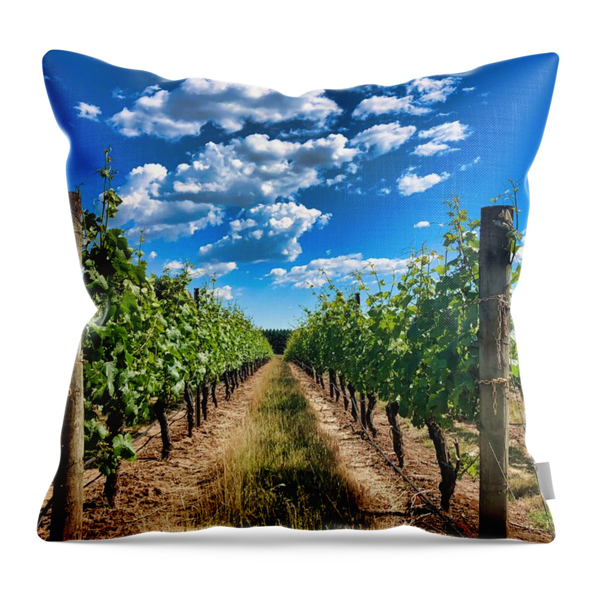 Vineyard Throw Pillow featuring the photograph In The Vineyard by Brian Eberly