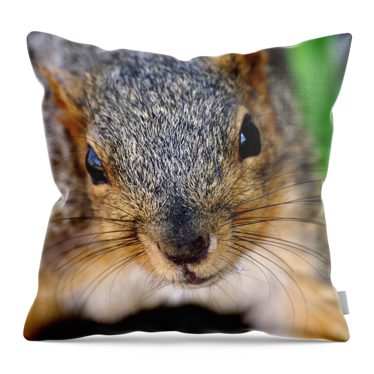 Fox Squirrel Throw Pillow featuring the photograph In Your Face Fox Squirrel by Don Northup