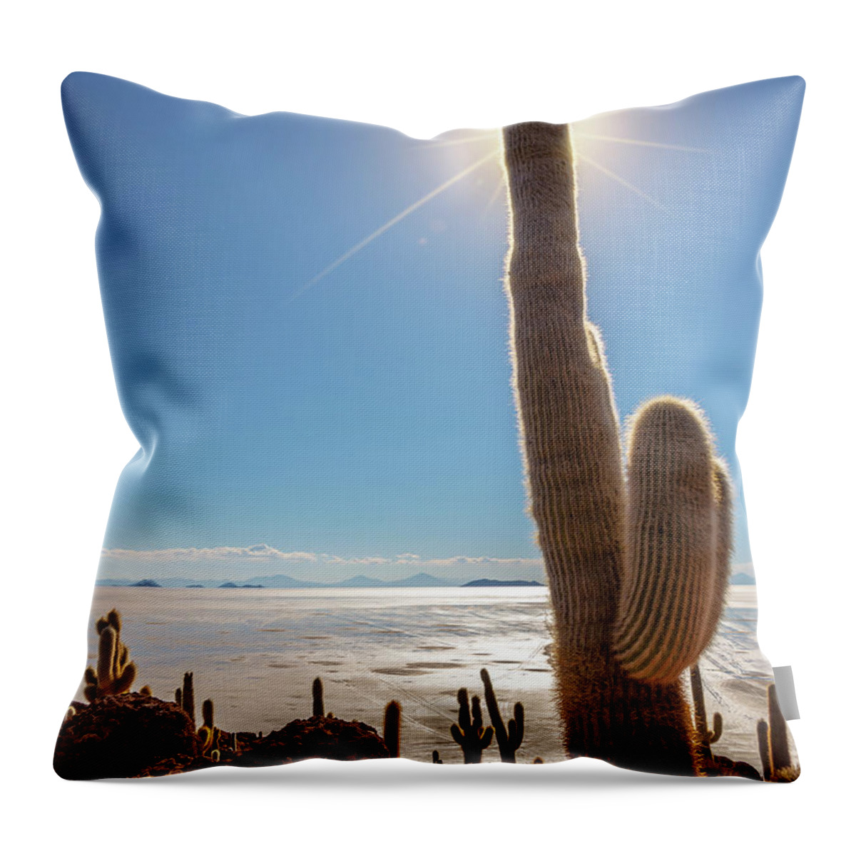Uyuni Throw Pillow featuring the photograph Incahuasi Island, Salar De Uyuni, Bolivia by Delphimages Photo Creations