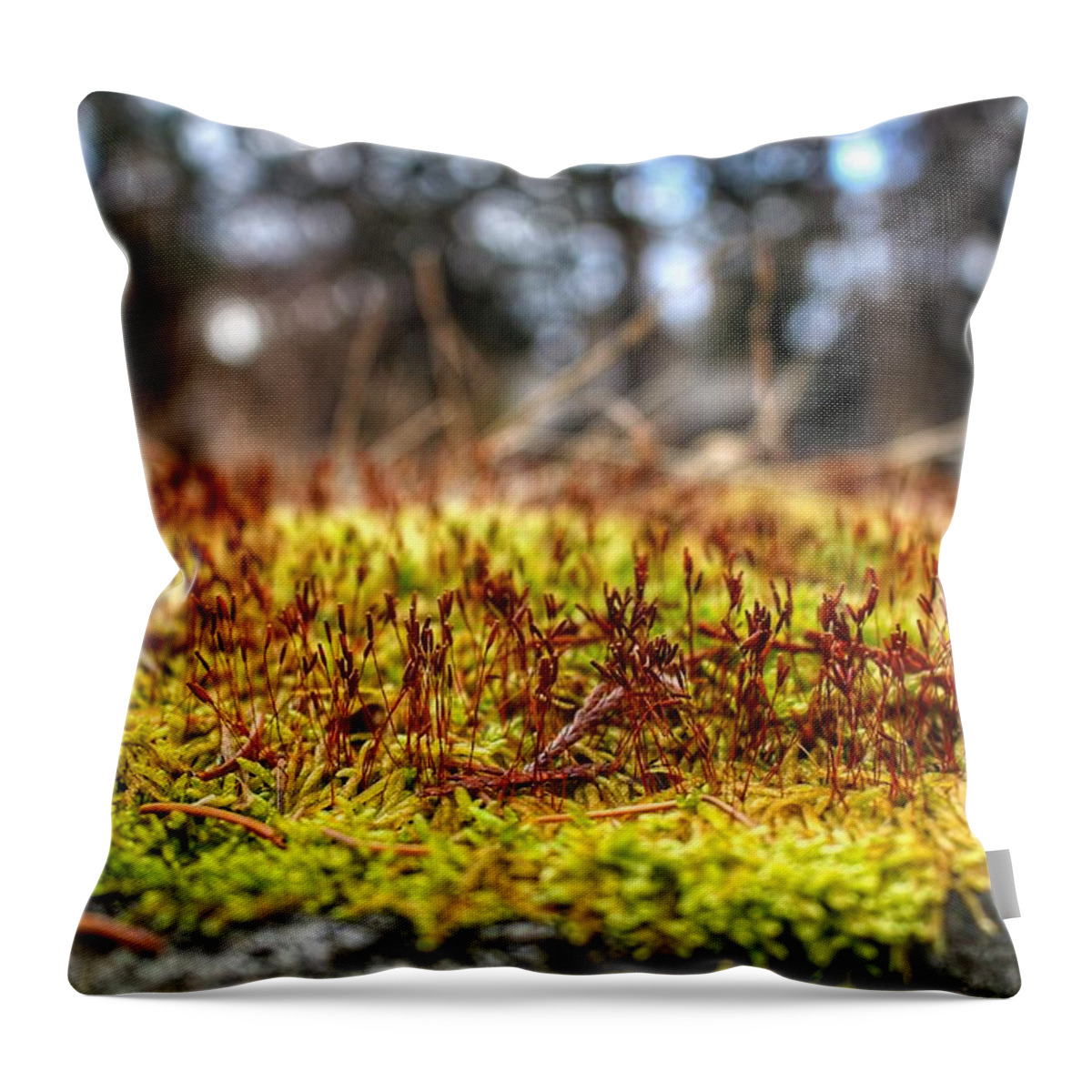 Moss Throw Pillow featuring the photograph Inchoate by Christopher Lotito