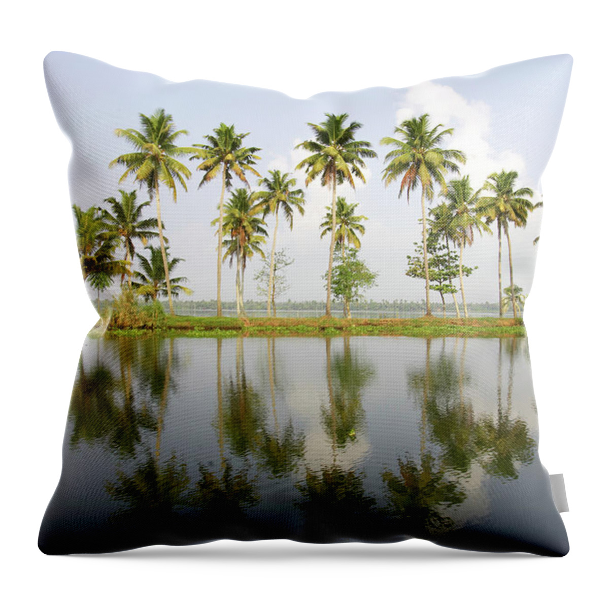 Scenics Throw Pillow featuring the photograph India, Kerala, Alappuzha, Palm Trees by Sydney James