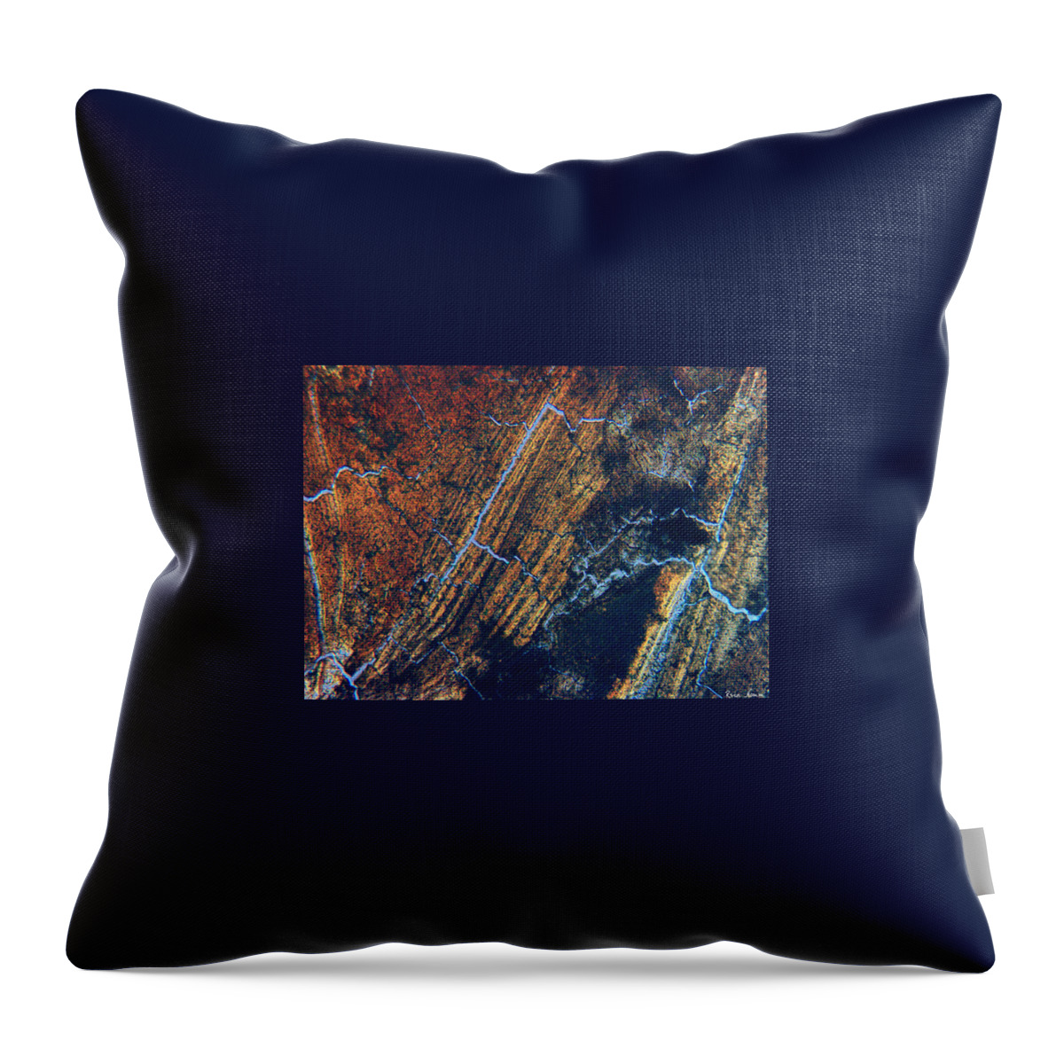  Throw Pillow featuring the photograph Ingrained by Rein Nomm
