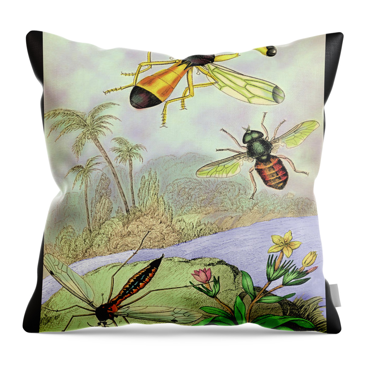 Mosquito Throw Pillow featuring the painting Insects: Ctenophora Pectinicornis, Tabanus Tropicus, et al. by James Duncan