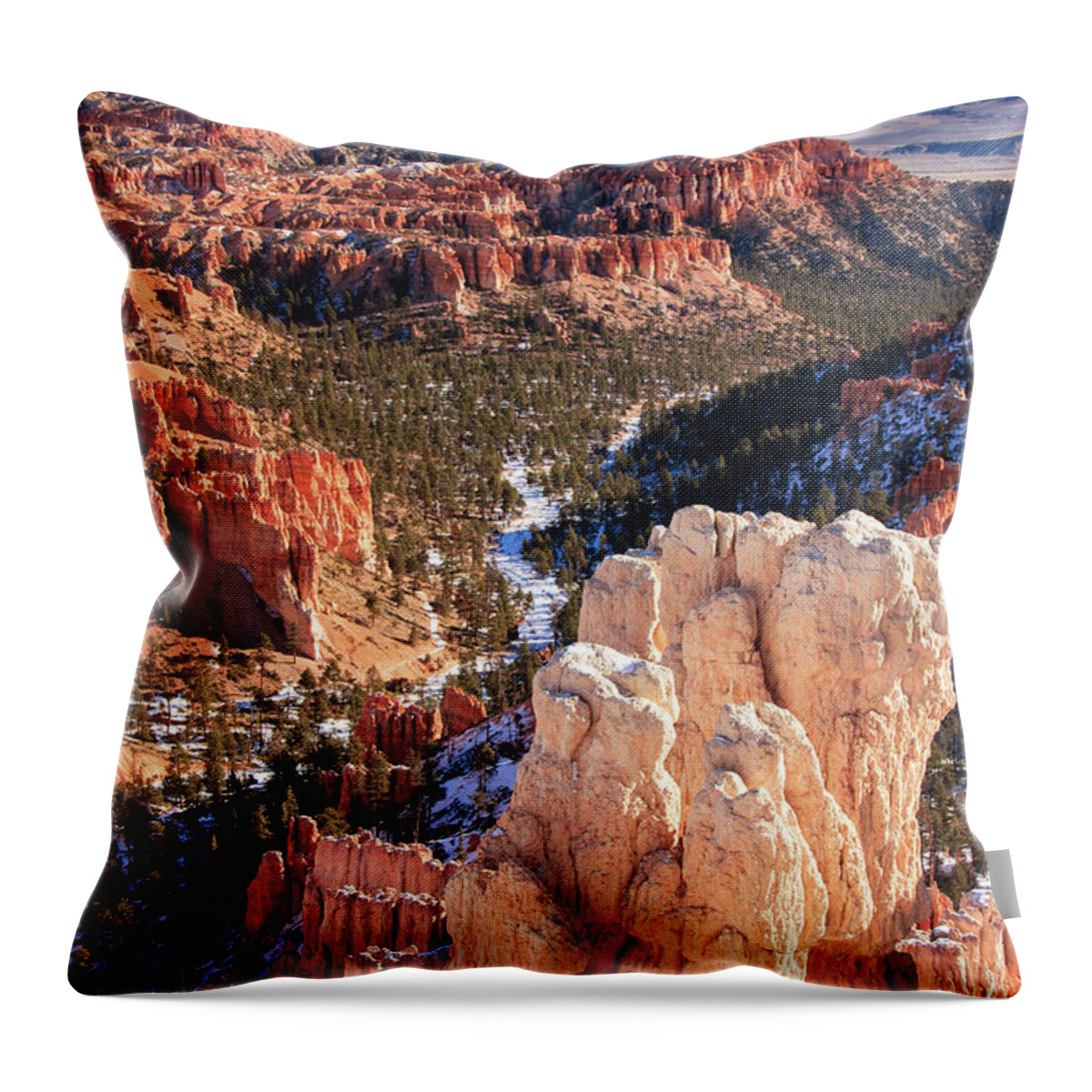 Tranquility Throw Pillow featuring the photograph Inspirational by Daniel Cummins