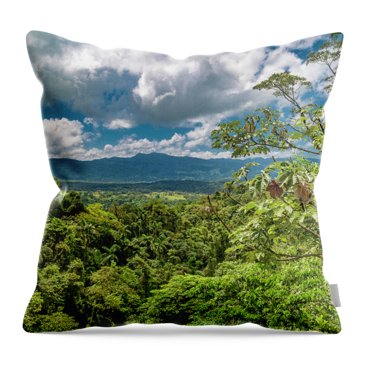 Costa Throw Pillow featuring the photograph Inspirational Forest by Betsy Knapp