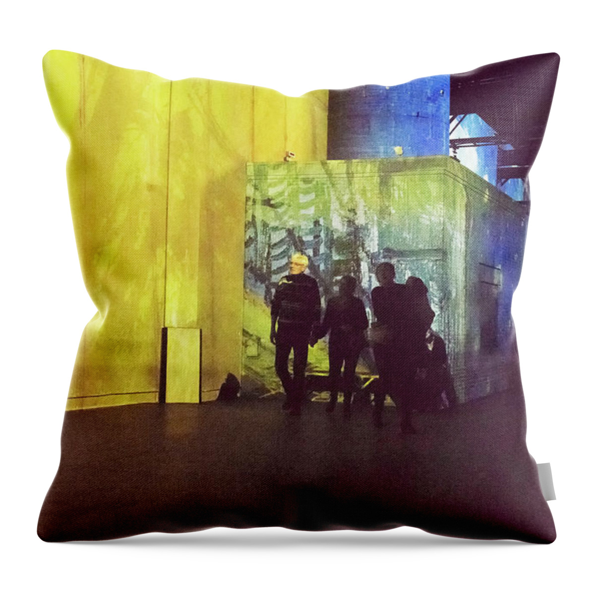 Projections Throw Pillow featuring the photograph Into the Picture by Jessica Levant