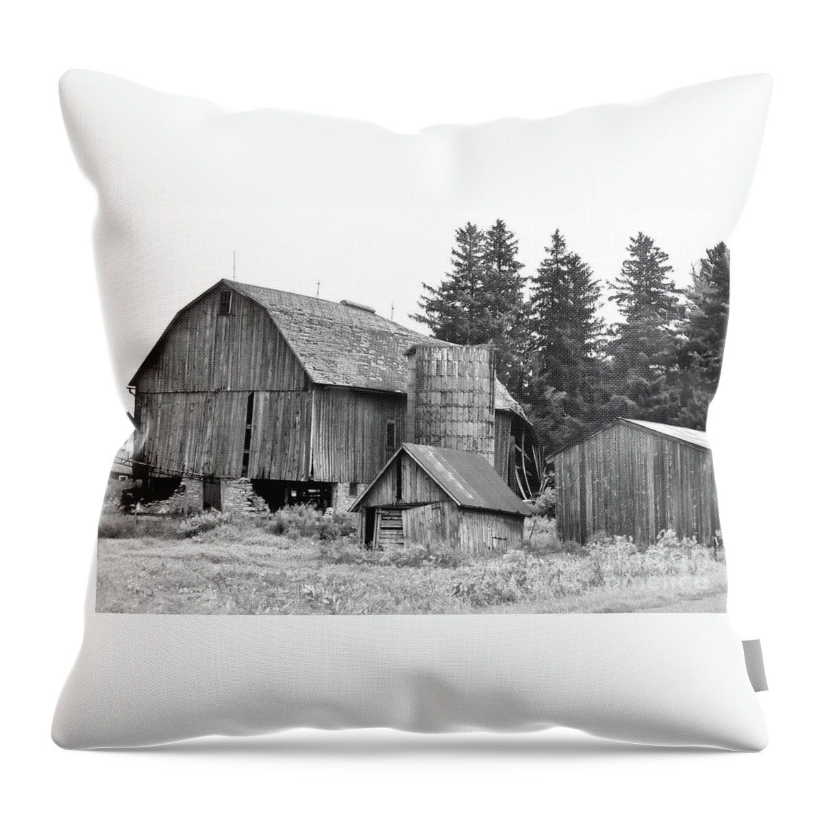 Iowa Throw Pillow featuring the photograph Iowa Barn Ruins by Ron Long