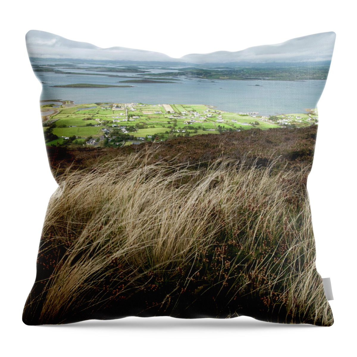 Long Throw Pillow featuring the photograph Ireland Landscape by Rouzes