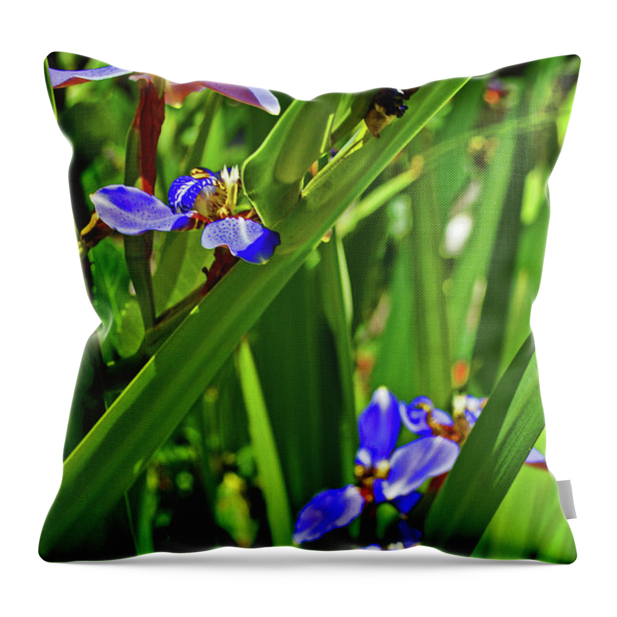 Flower Throw Pillow featuring the photograph Iris by George D Gordon III