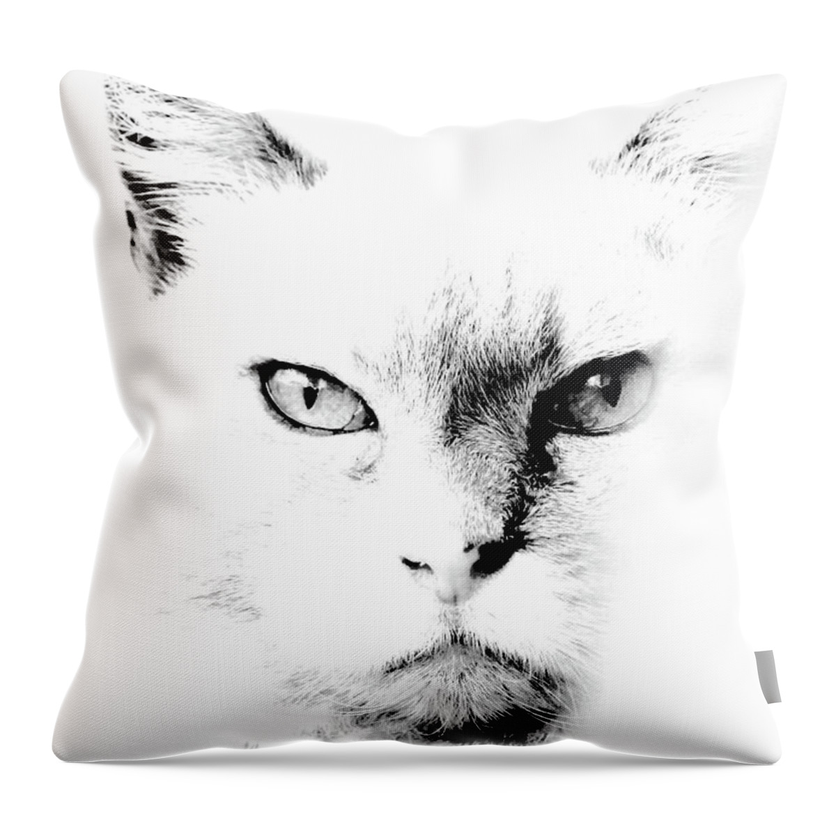 Cat Art Throw Pillow featuring the photograph Iris by Sandra Dalton