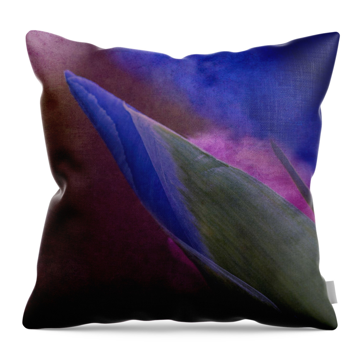 Iris Throw Pillow featuring the photograph Iris To The Point by Arlene Carmel