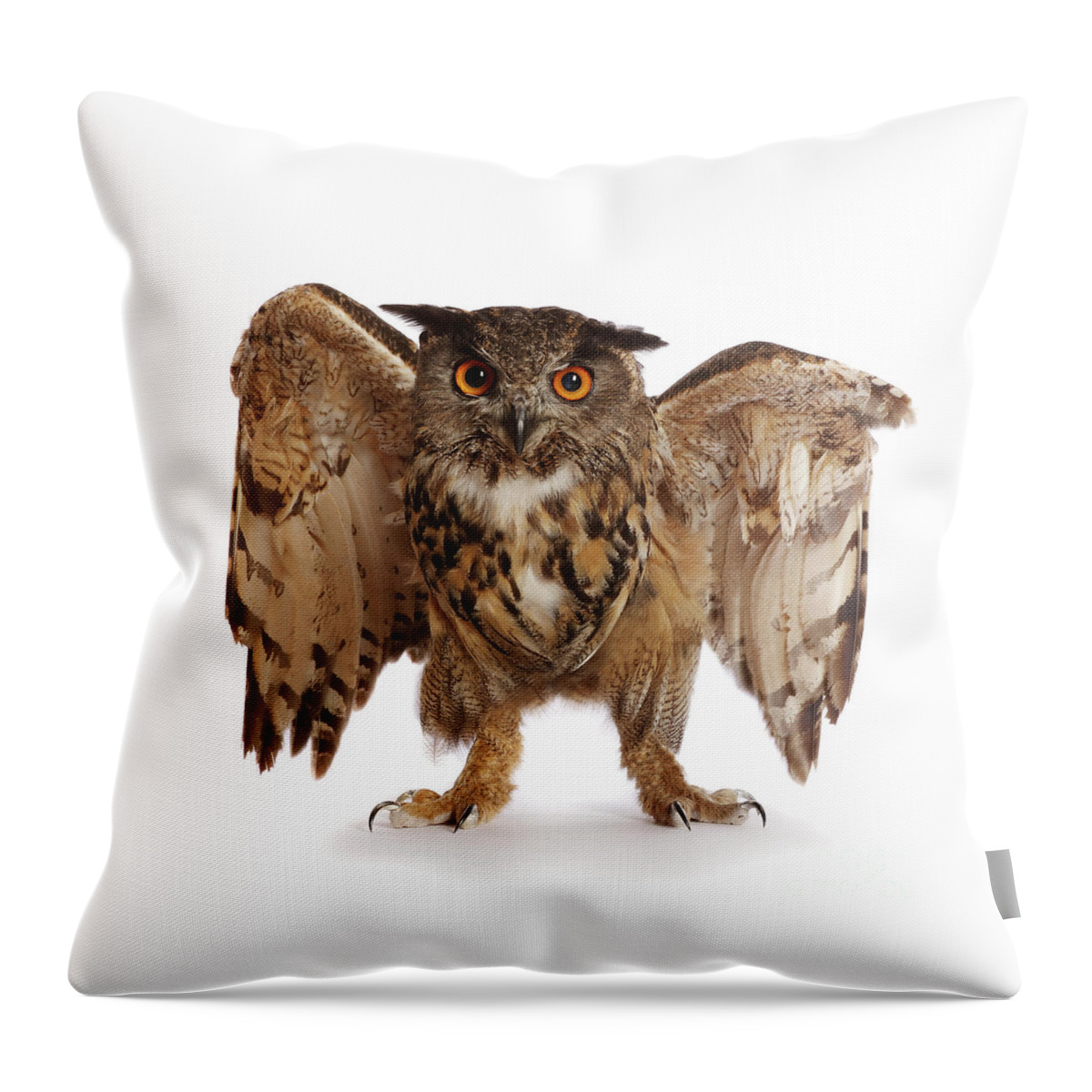 European Eagle Owl Throw Pillow featuring the photograph Irritable Owl Syndrome by Warren Photographic