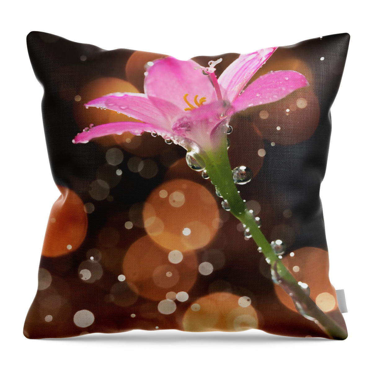 Tanzania Throw Pillow featuring the photograph Isolated Pink Flowers With Fizzy Bubbles by Twomeows