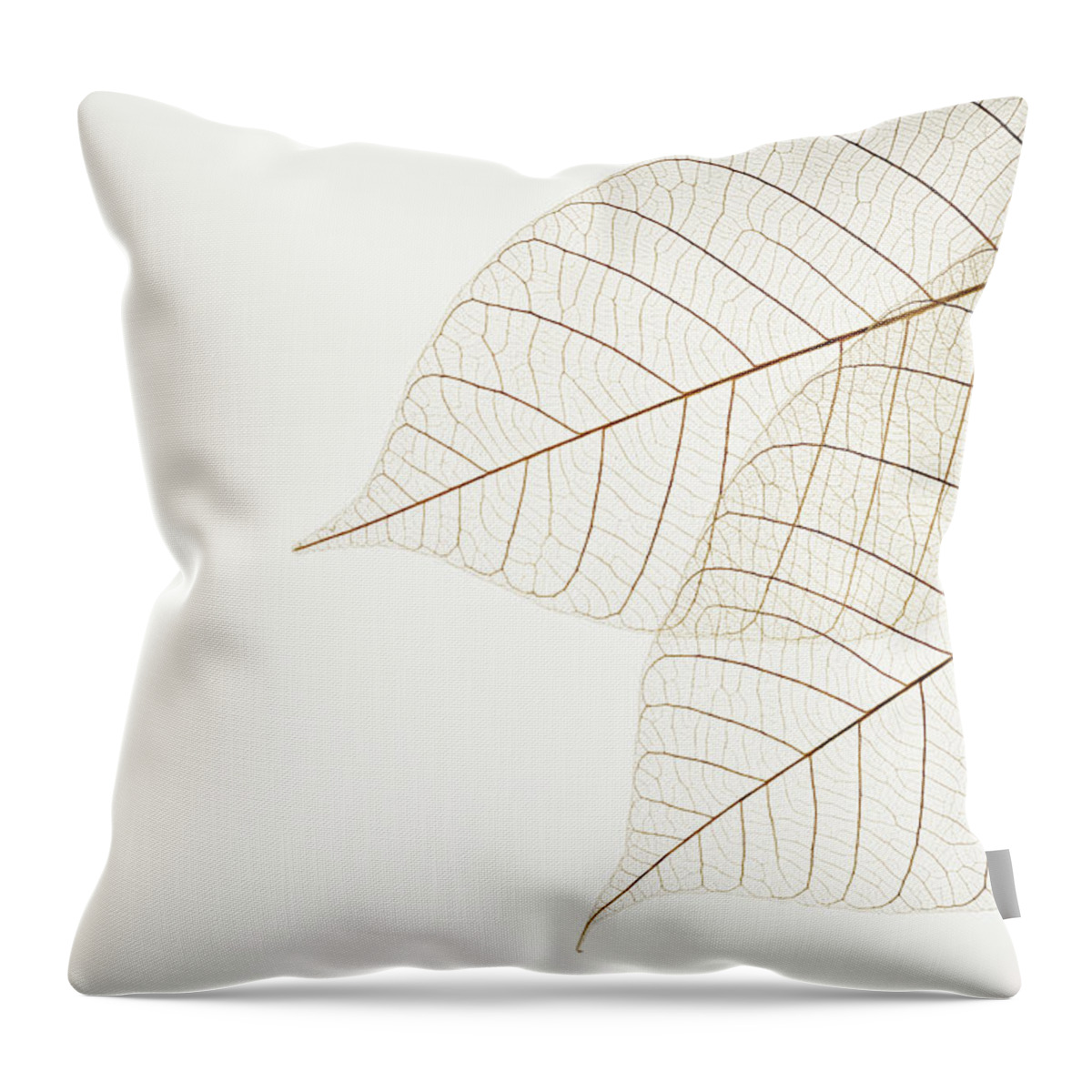 White Background Throw Pillow featuring the photograph Isolated Shot Of Two Leaf Veins On by Kyoshino