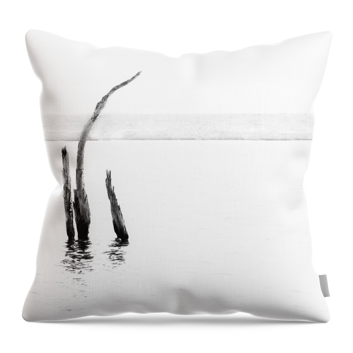 Denise Dube Throw Pillow featuring the photograph Isolation by Denise Dube