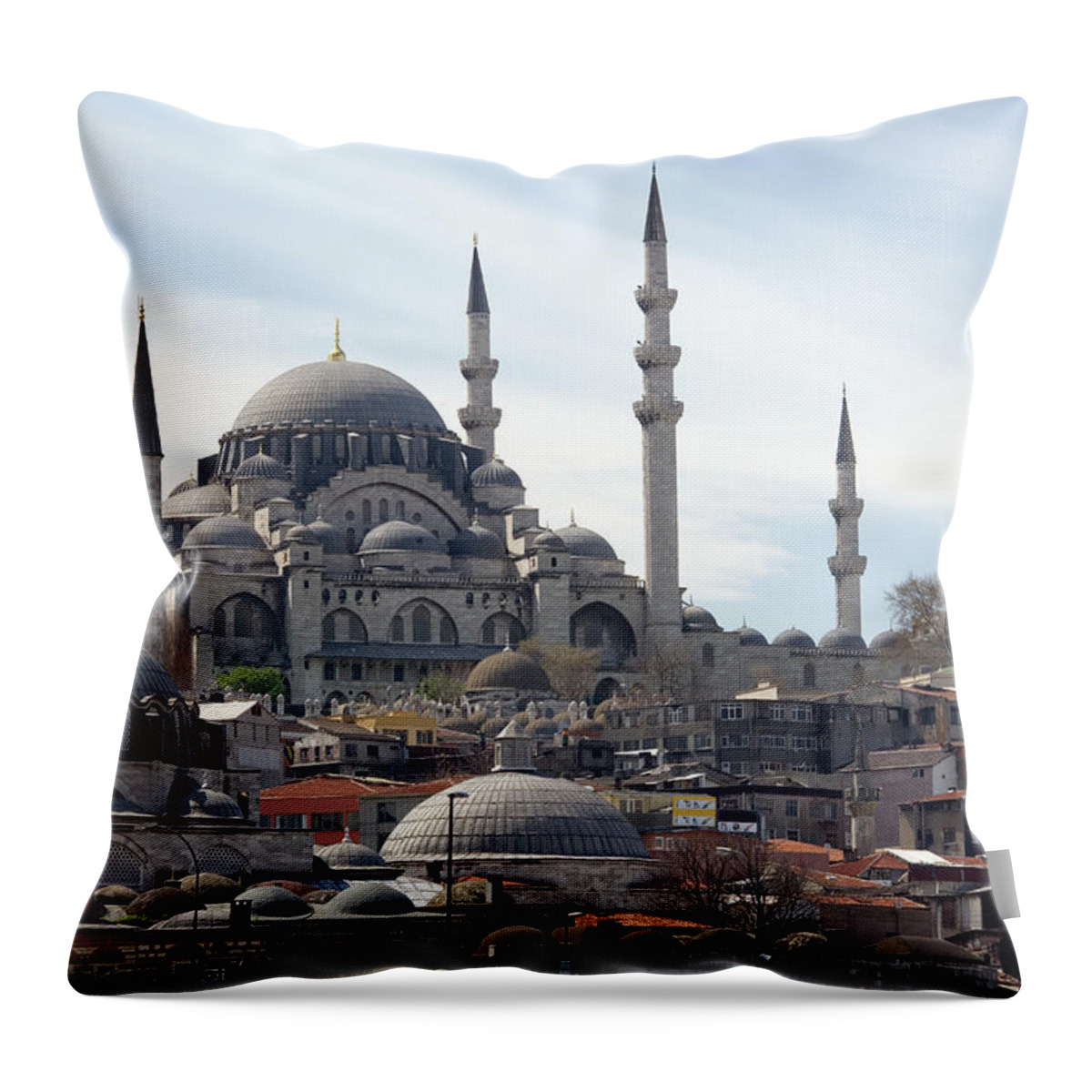 Istanbul Throw Pillow featuring the photograph Istanbul In Turkey by Steve Allen