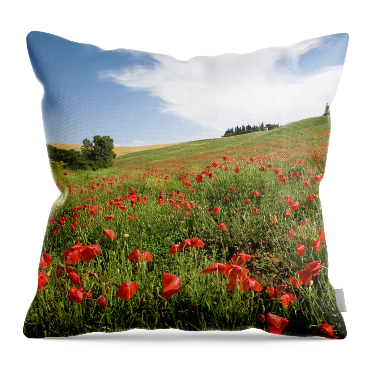 Recreational Pursuit Throw Pillow featuring the photograph Italian Poppy Field II by Wingmar