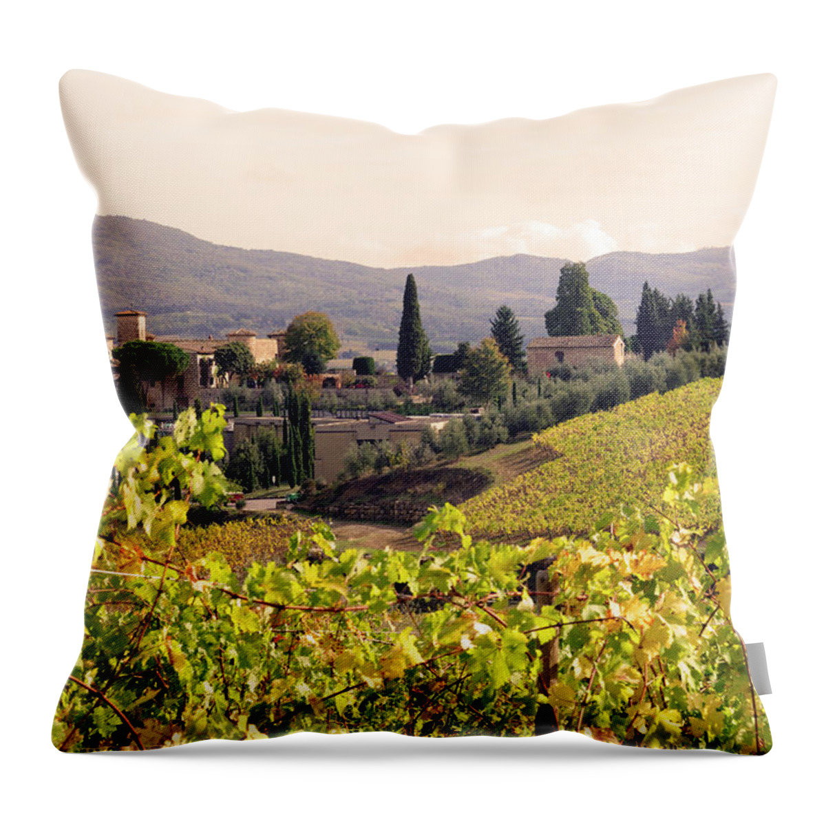 Scenics Throw Pillow featuring the photograph Italian Village And Vineyard In Fall by Lisa-blue