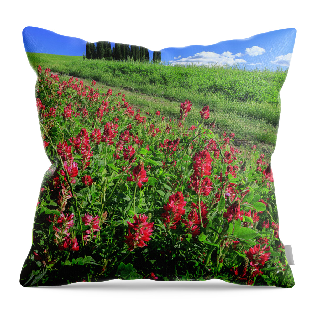 Estock Throw Pillow featuring the digital art Italy, Tuscany, Flowers In Bloom by Maurizio Rellini
