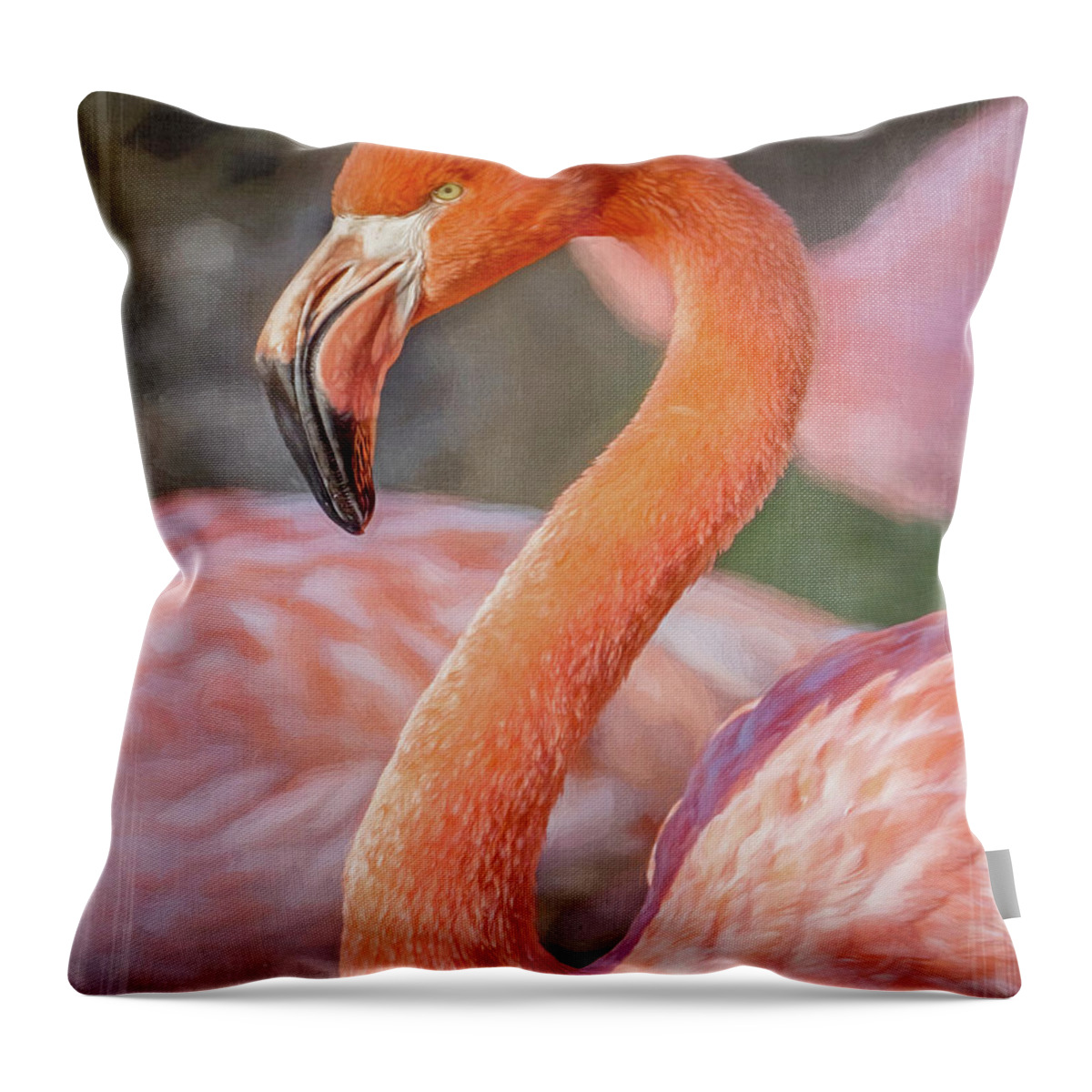 Caribbean Throw Pillow featuring the photograph I've Got My Eye on You by Teresa Wilson
