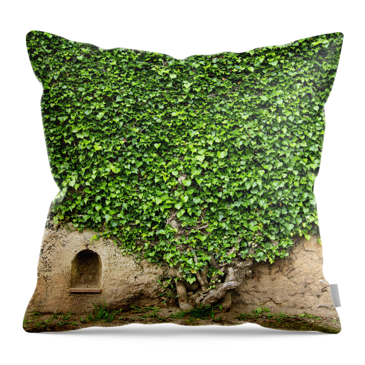 Arch Throw Pillow featuring the photograph Ivy On A Wall Of Villa Cimbrone, Ravello by Buena Vista Images