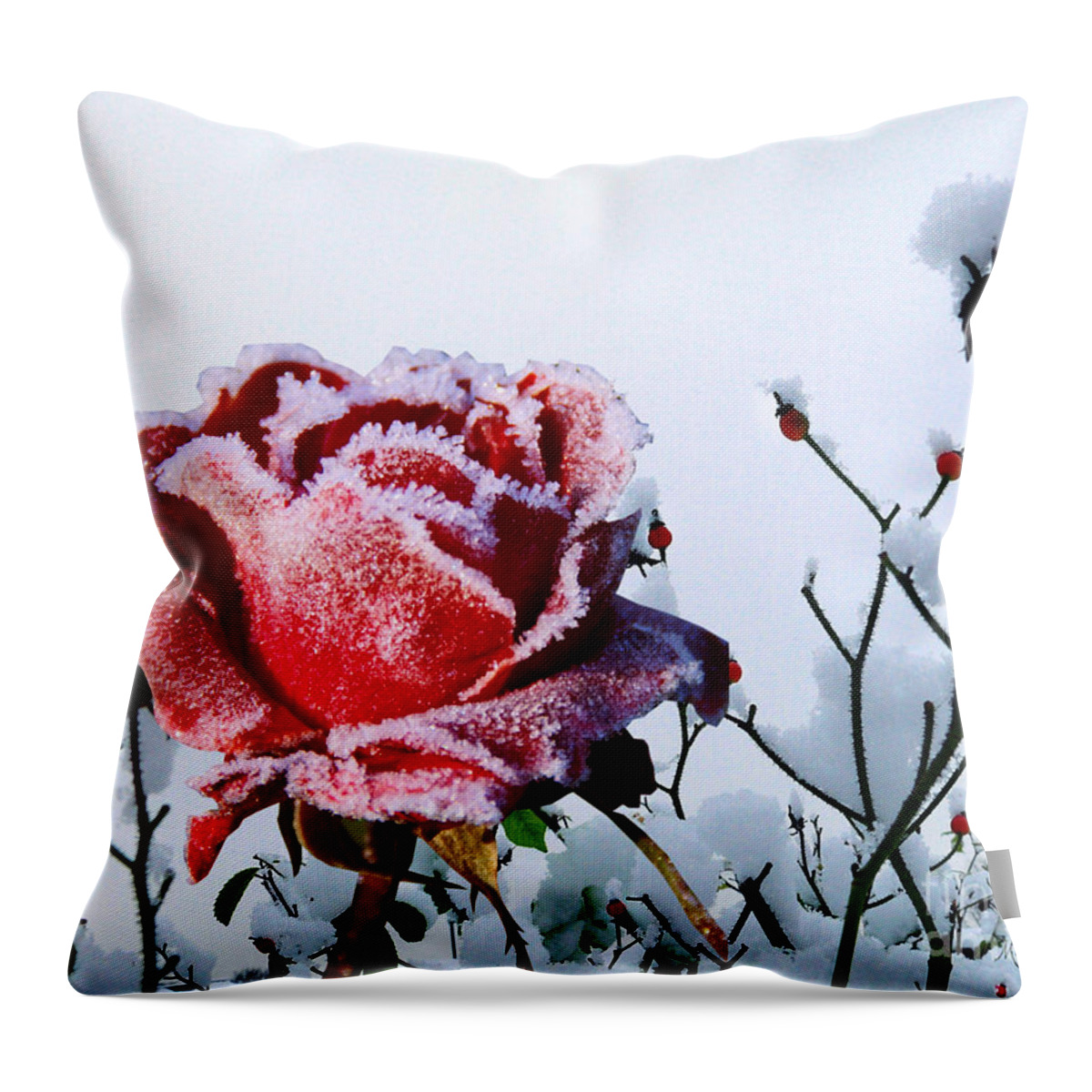 Red Rose Throw Pillow featuring the mixed media Jack Frost by Morag Bates