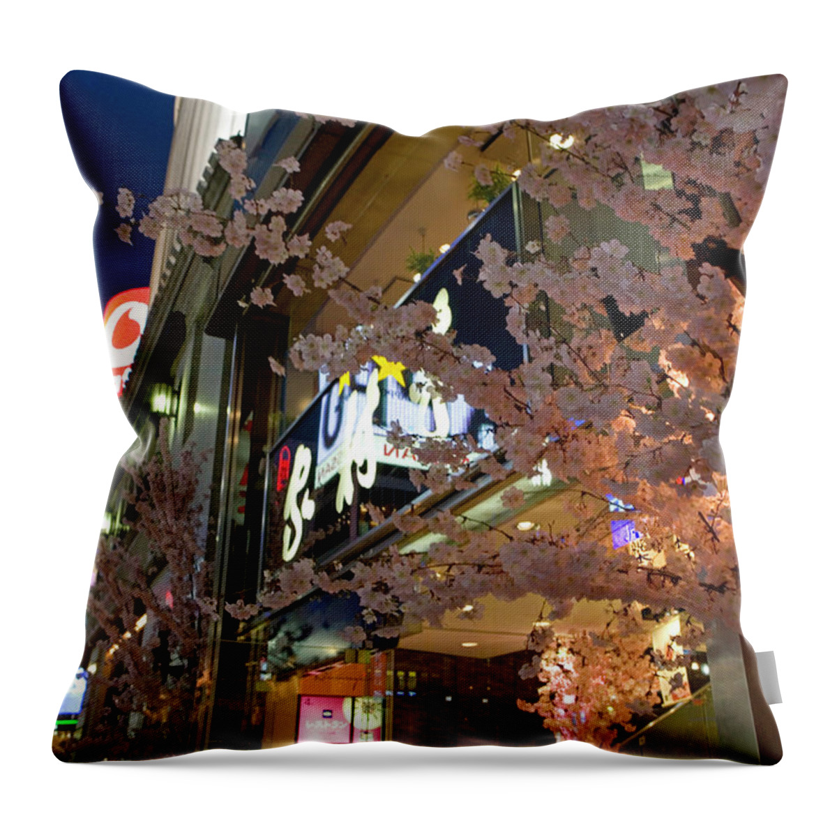 Outdoors Throw Pillow featuring the photograph Japan, Tokyo, Cherry Blossoms In Front by Sylvester Adams