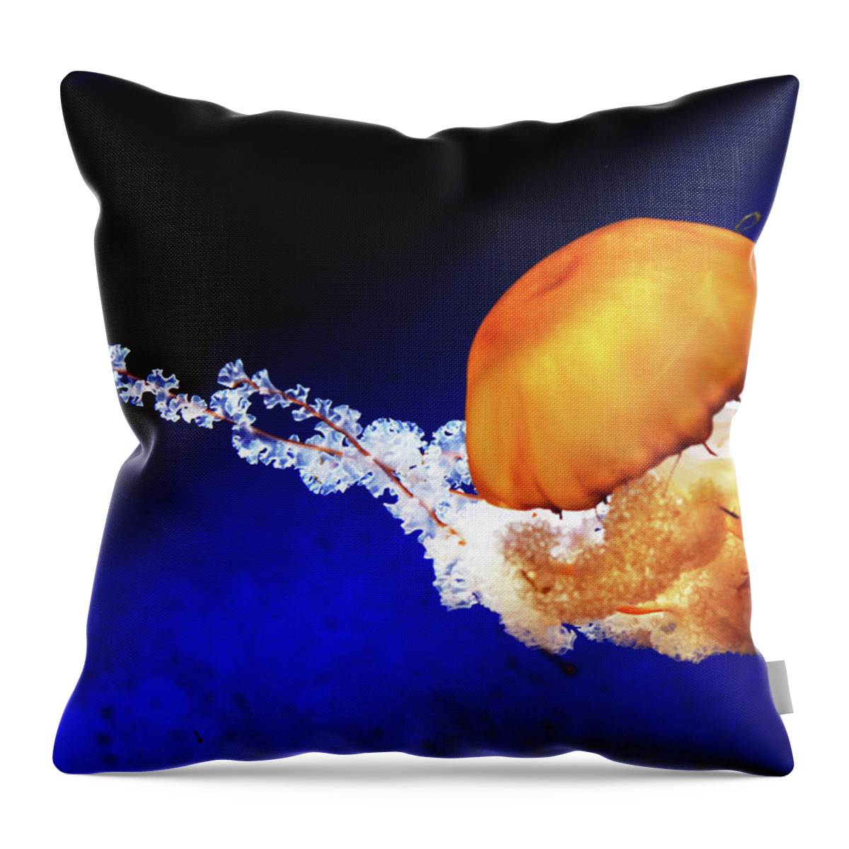 Underwater Throw Pillow featuring the photograph Jellyfish In Aquarium by Digipub