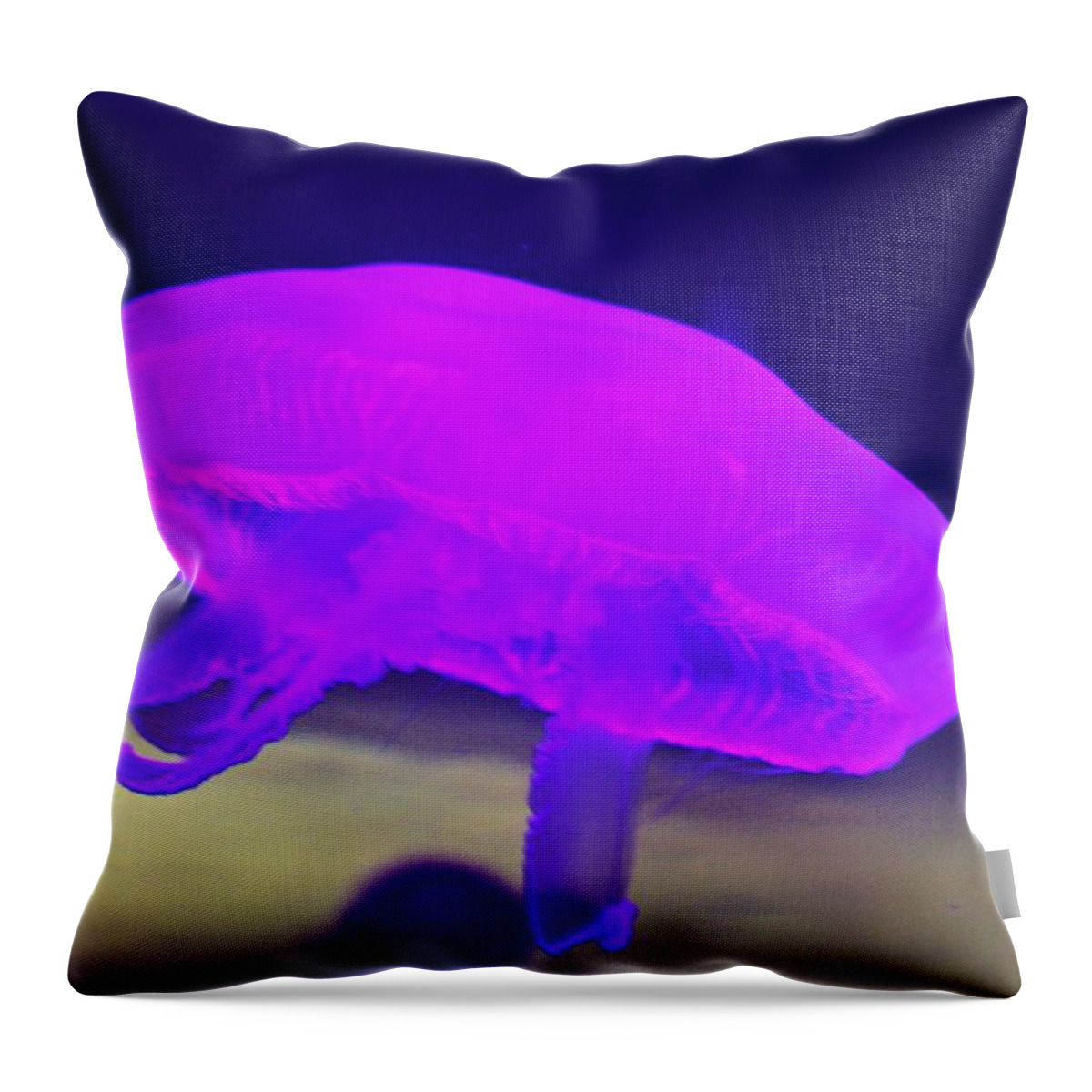 Jellyfish Throw Pillow featuring the photograph Jellyfish by Vadim Levin