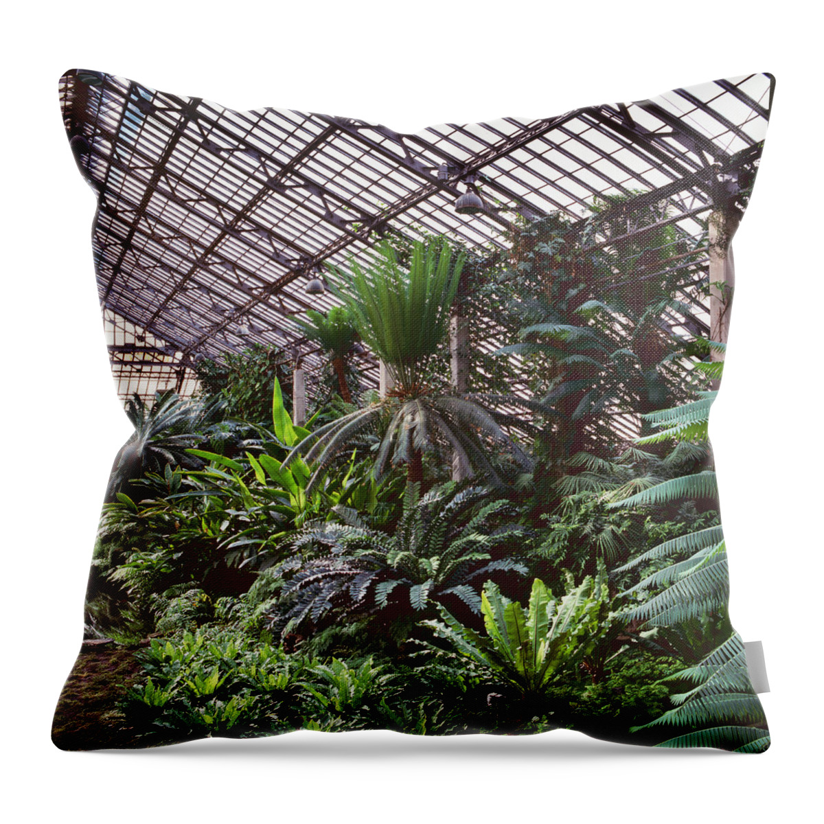 Tropical Climate Throw Pillow featuring the photograph Jen Jenson Conservatory by Richard Felber