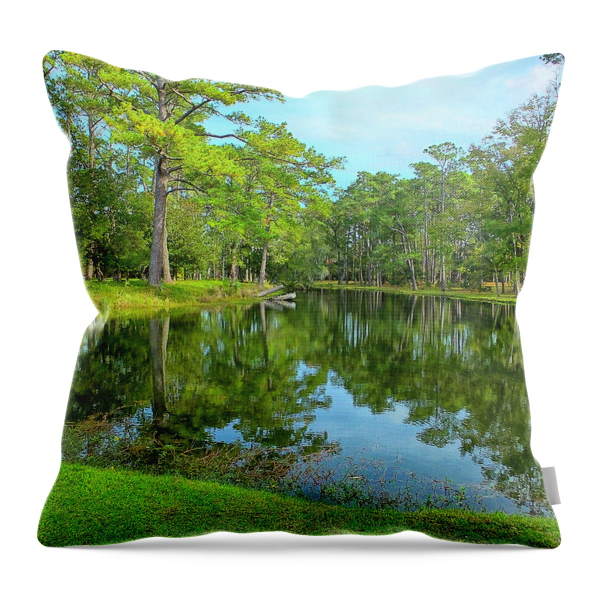 Water Throw Pillow featuring the photograph Jessamine Pond by Bill Barber