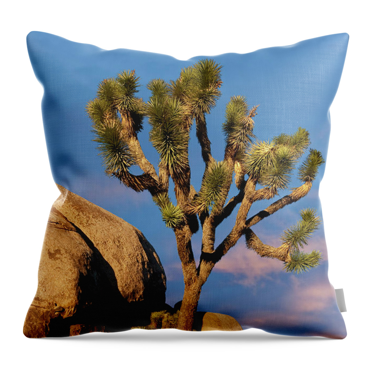 Agave Throw Pillow featuring the photograph Joshua Tree at Cap Rock by Jeff Goulden