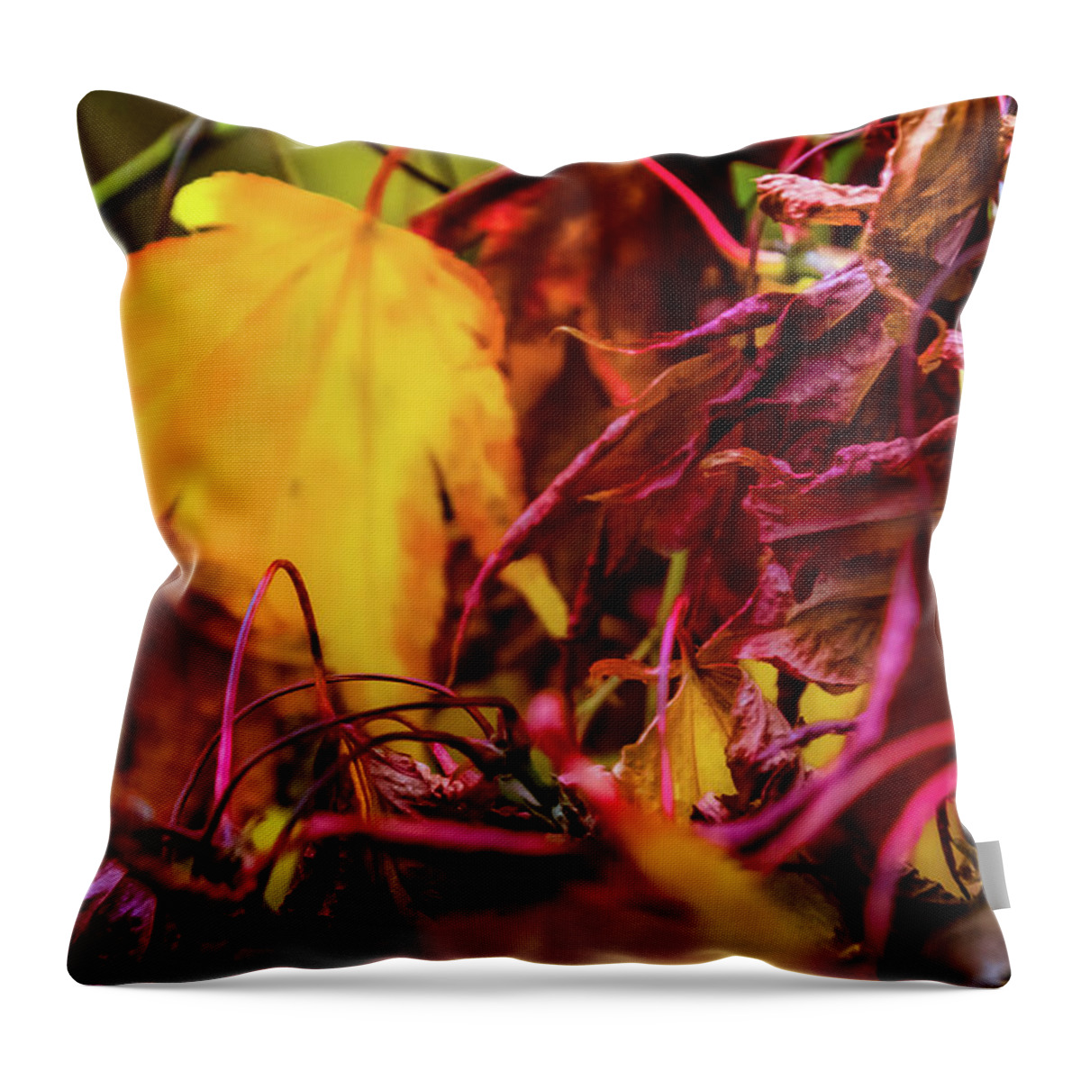 Tree Throw Pillow featuring the photograph Joy of Acers - 4 by Christopher Maxum