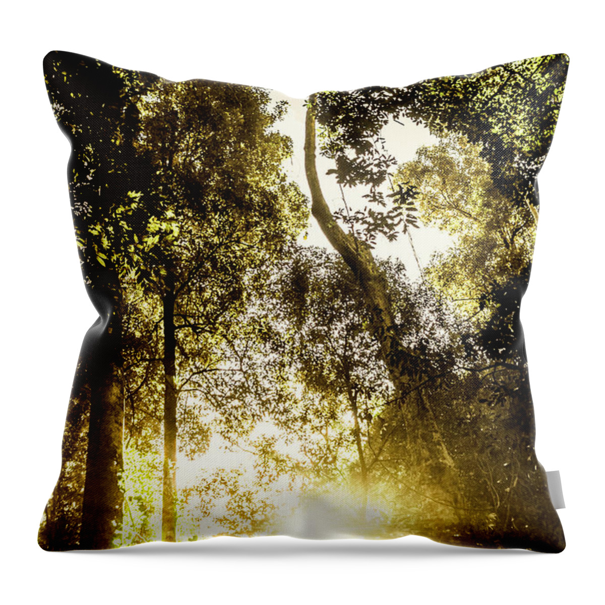 Sun Throw Pillow featuring the photograph Jungles light by Jorgo Photography