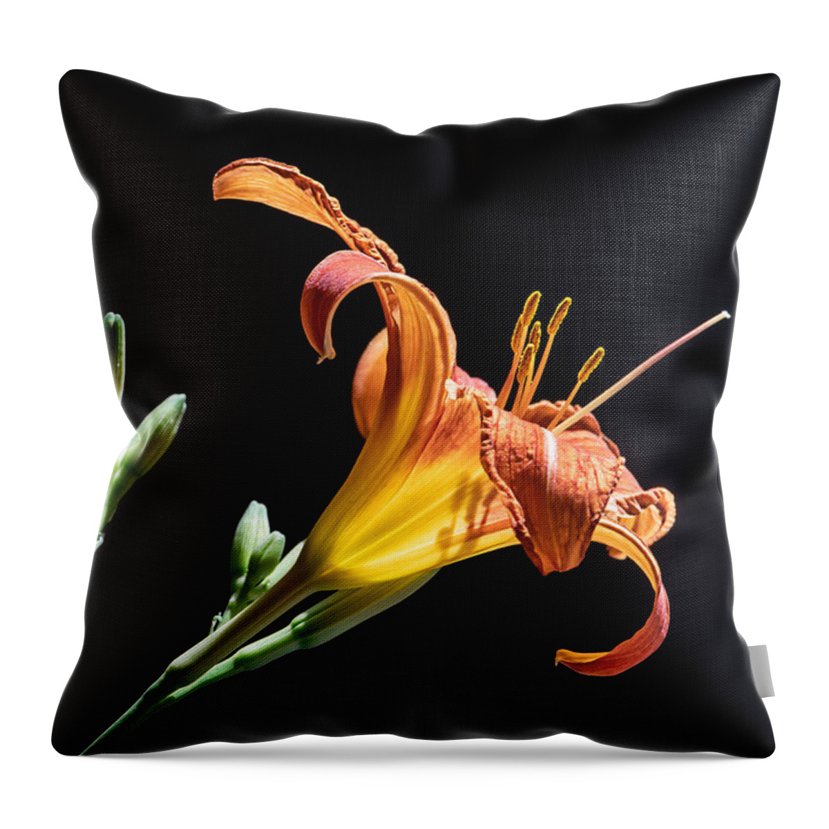 Floral Throw Pillow featuring the photograph Just Another Day by Maggie Terlecki