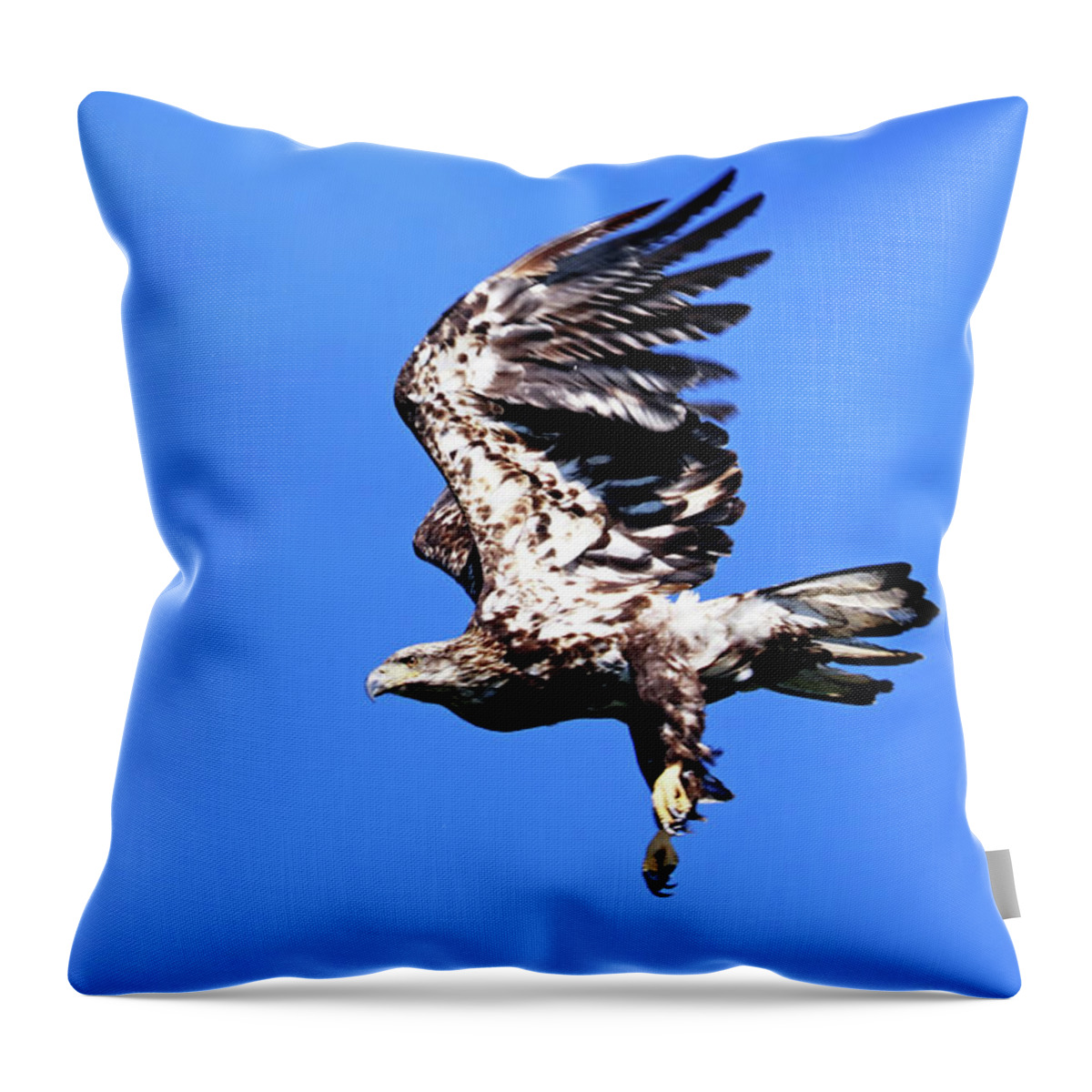 Eagle Throw Pillow featuring the photograph Juvenile Bald Eagle Take Off by Debbie Oppermann