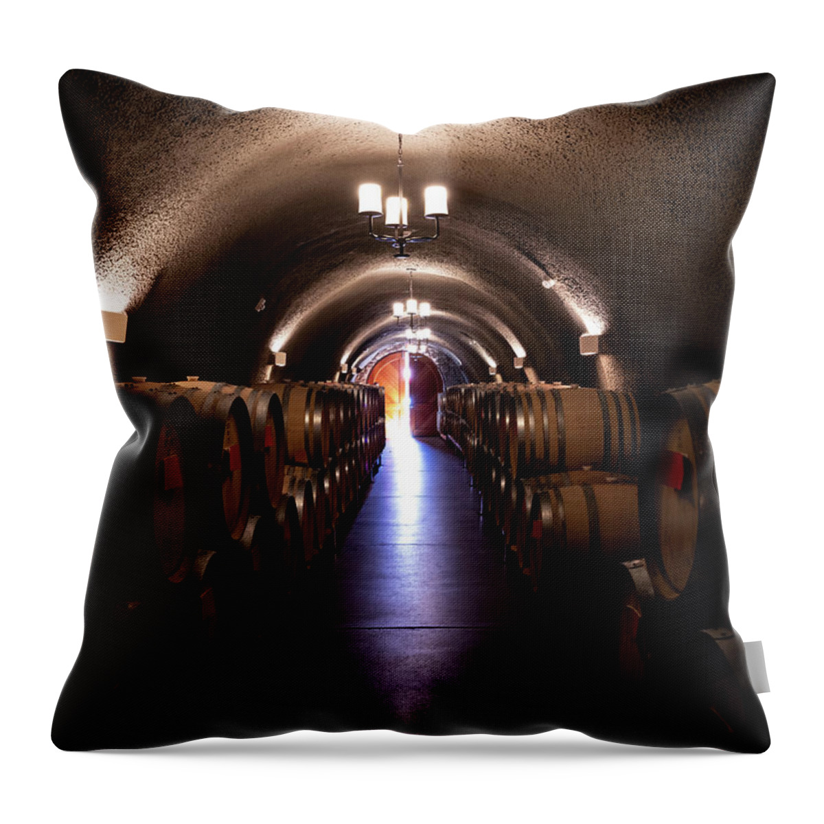 Wine Throw Pillow featuring the photograph Keg Cave by Steven Clark