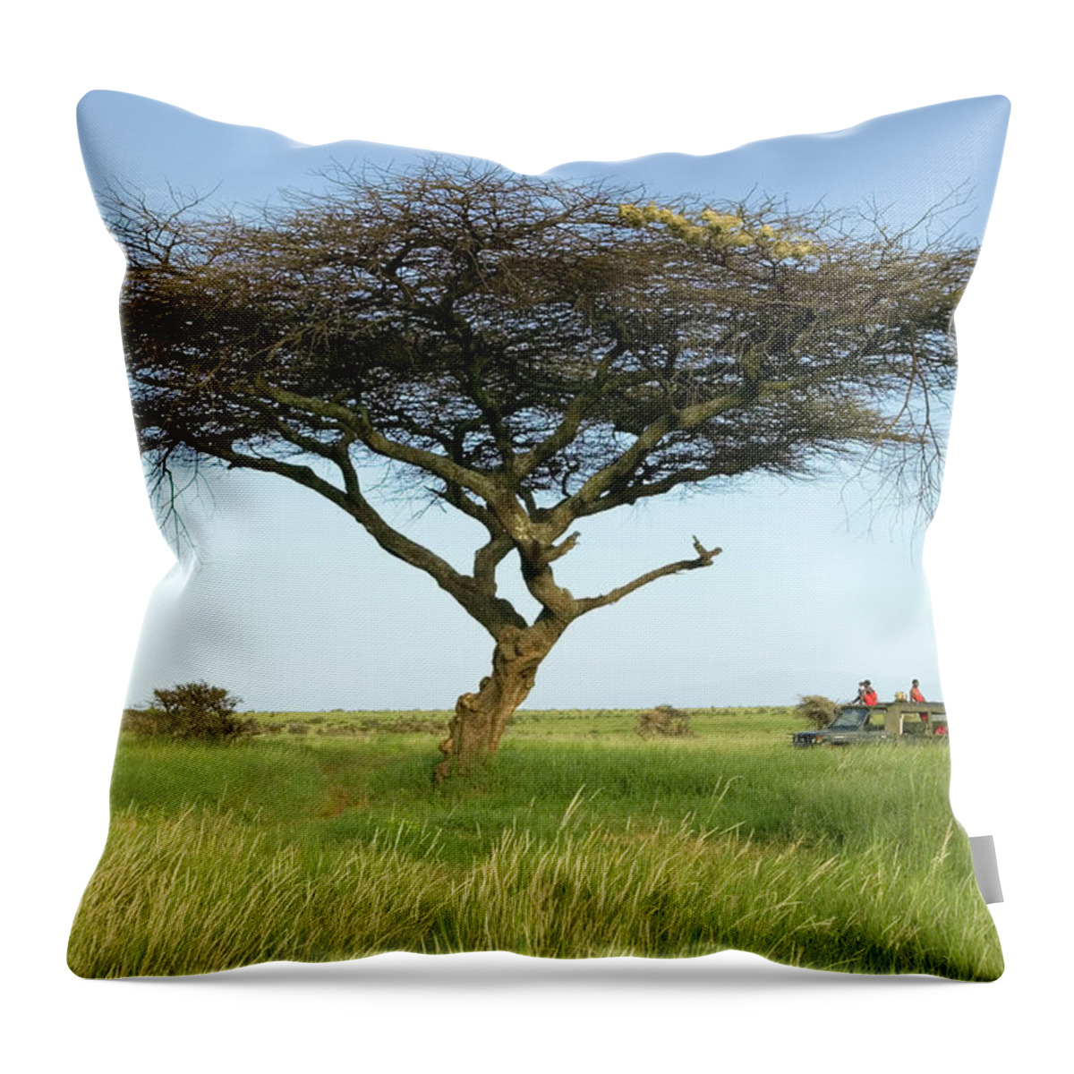 Scenics Throw Pillow featuring the photograph Kenya, Lewa Conservancy, Masai Safari by Visionsofamerica.com/joe Sohm